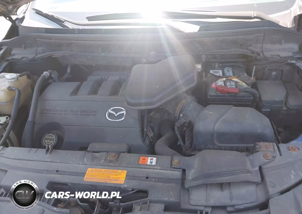 2010 Mazda Cx-9 Sport VIN:JM3TB3MV5A0214330 - 10