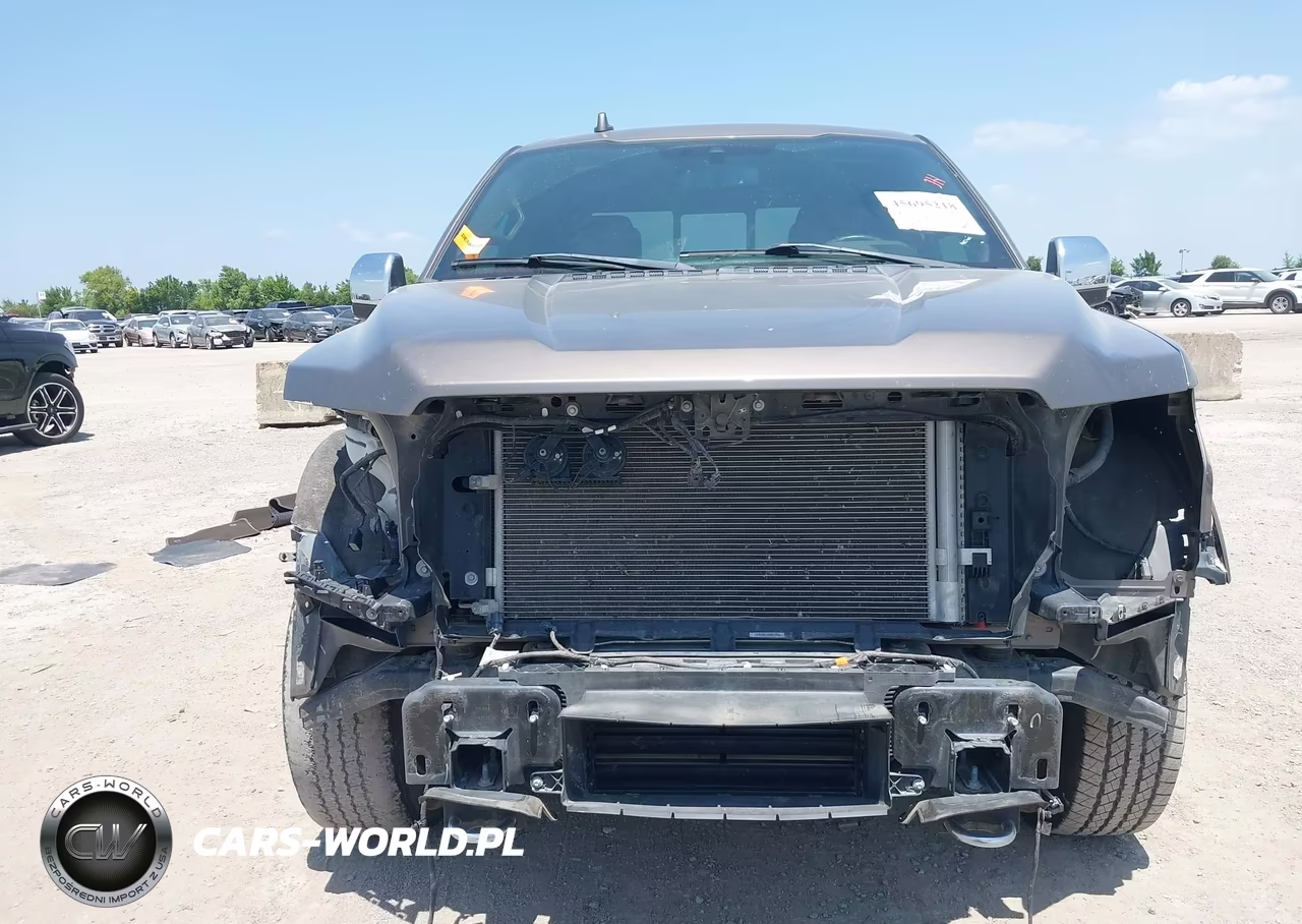 2020 Ford F-150 King Ranch VIN:1FTEW1E48LFB66502 - 13