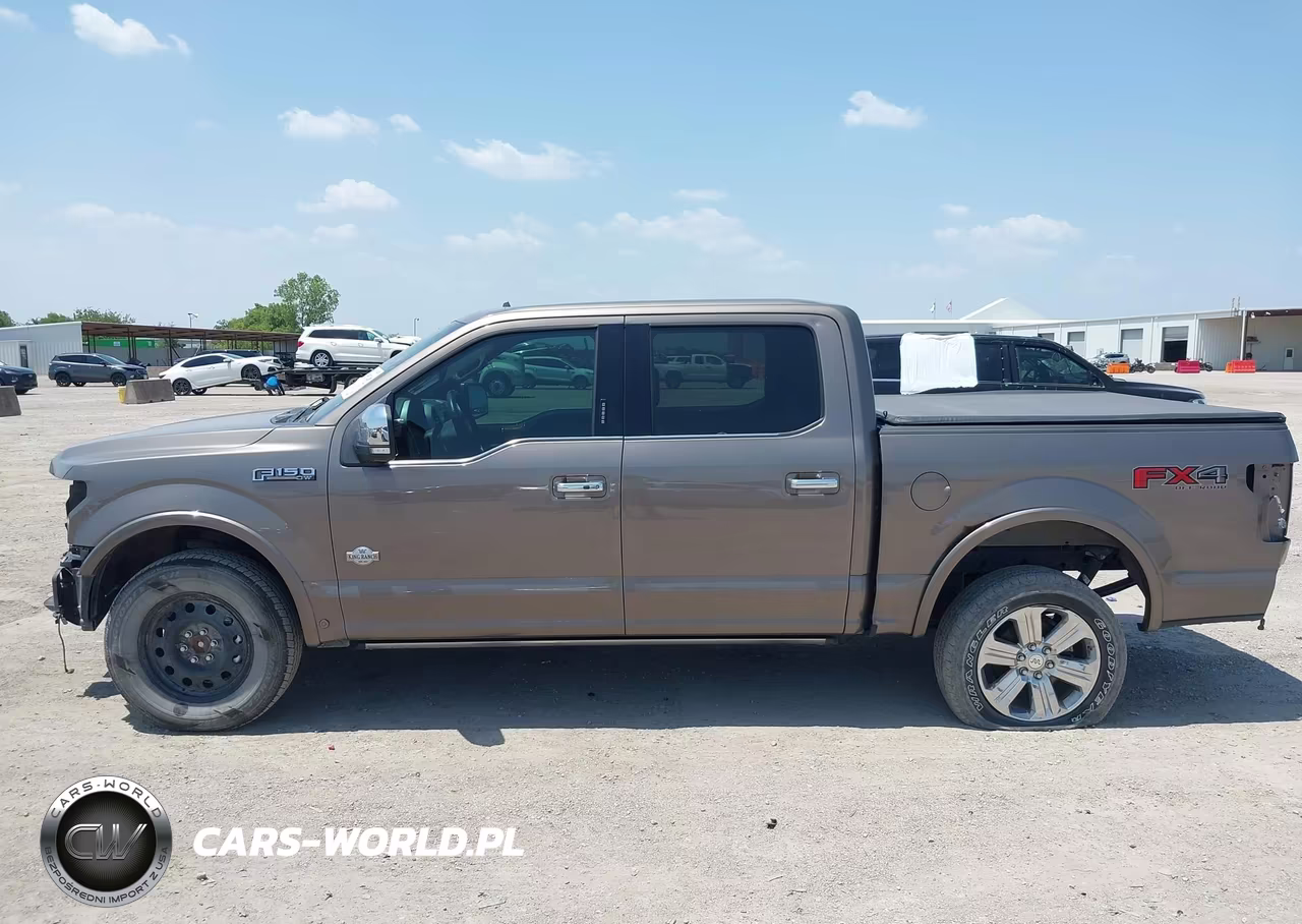 2020 Ford F-150 King Ranch VIN:1FTEW1E48LFB66502 - 15