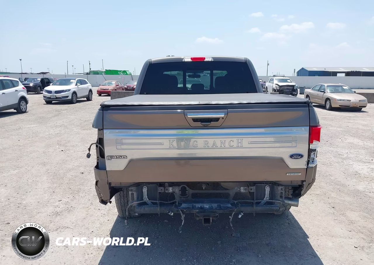 2020 Ford F-150 King Ranch VIN:1FTEW1E48LFB66502 - 17