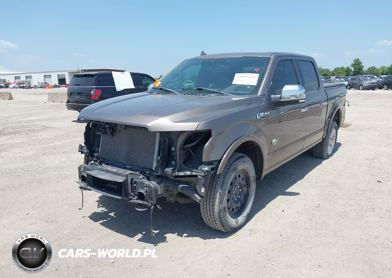 2020 Ford F-150 King Ranch VIN:1FTEW1E48LFB66502 - 2