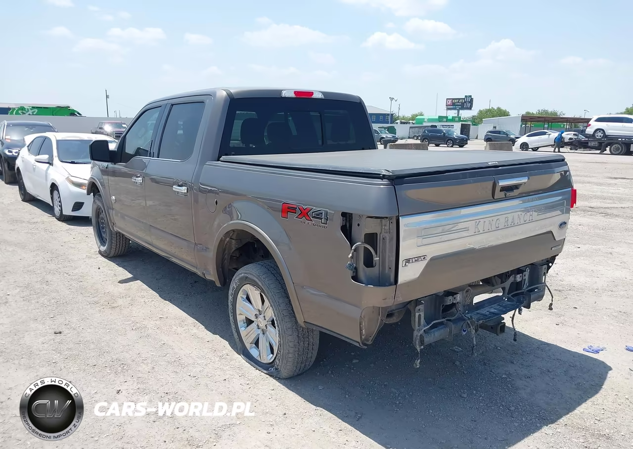 2020 Ford F-150 King Ranch VIN:1FTEW1E48LFB66502 - 3