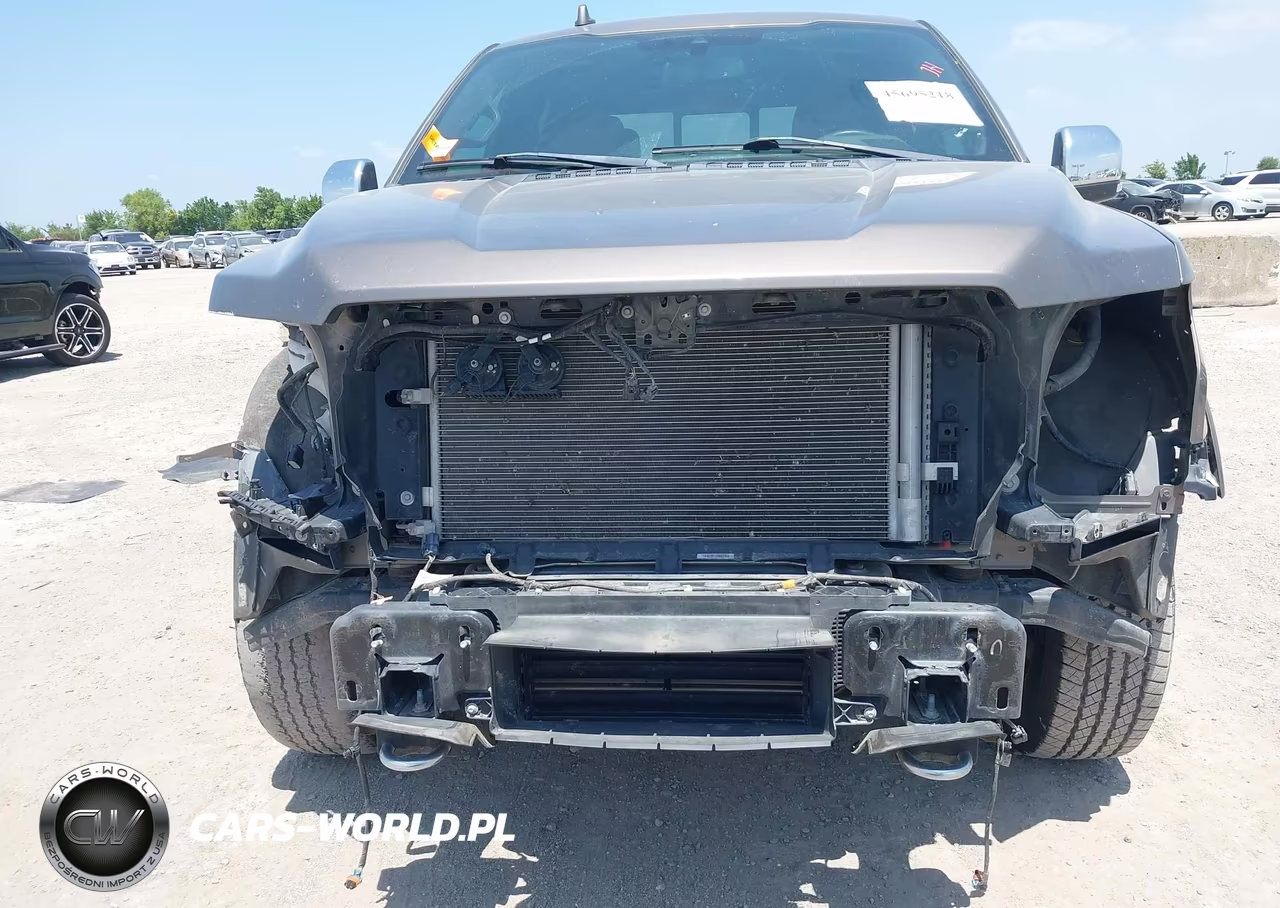 2020 Ford F-150 King Ranch VIN:1FTEW1E48LFB66502 - 6