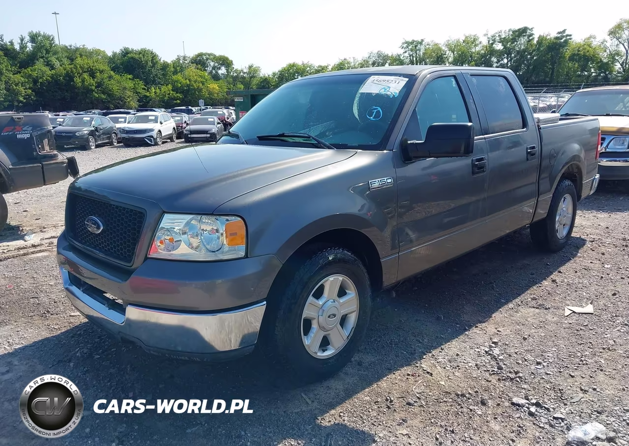 2004 Ford F-150 Xlt VIN:1FTRW12W74KC51704 - 2