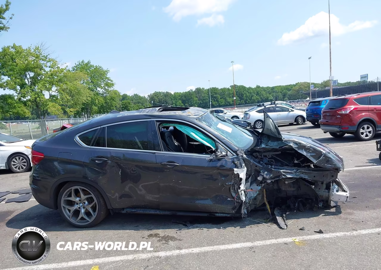 2017 BMW X6 VIN:5UXKU2C30H0U29342 - 13