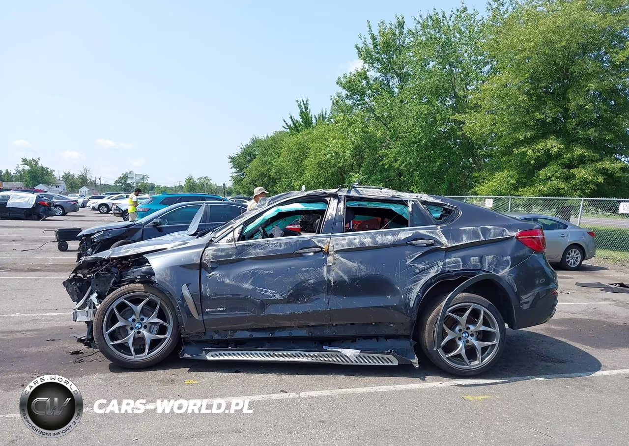 2017 BMW X6 VIN:5UXKU2C30H0U29342 - 14