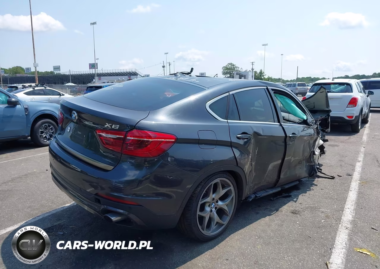 2017 BMW X6 VIN:5UXKU2C30H0U29342 - 4