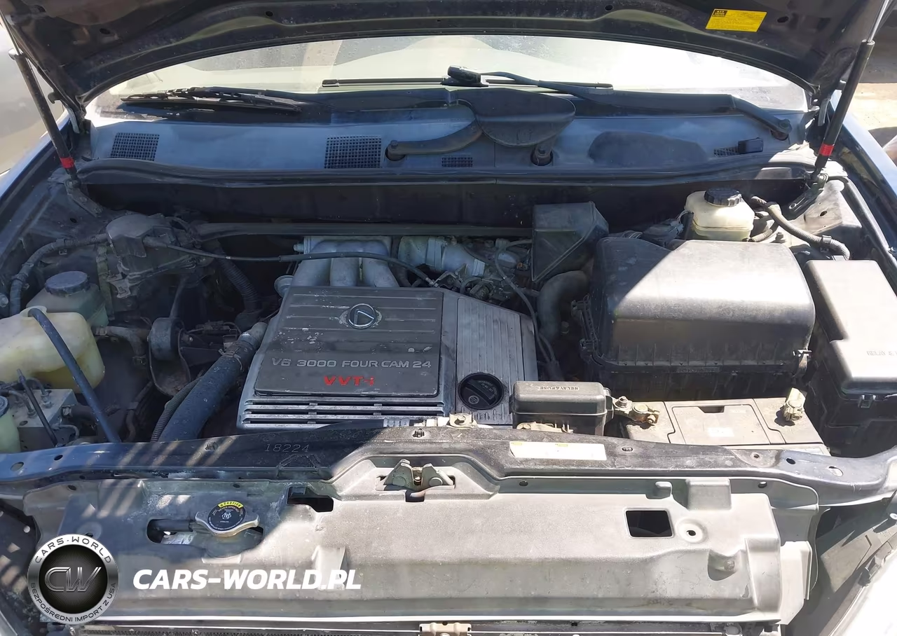 2001 Lexus Rx 300 VIN:JTJHF10U310184858 - 10