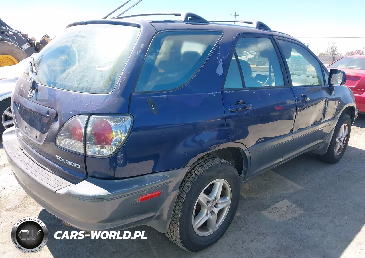 2001 Lexus Rx 300 VIN:JTJHF10U310184858 - 4