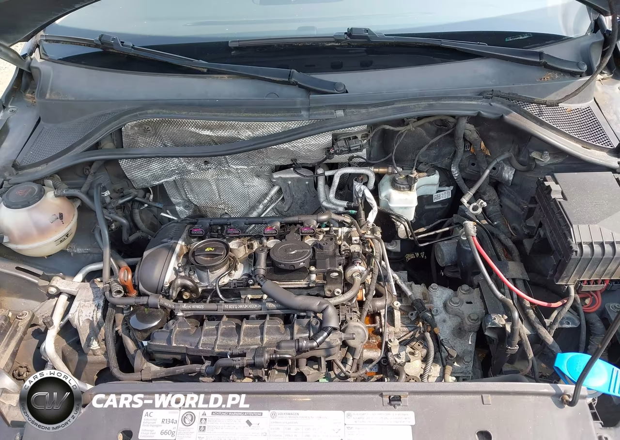 2013 Volkswagen Tiguan Se VIN:WVGBV7AX8DW519391 - 10