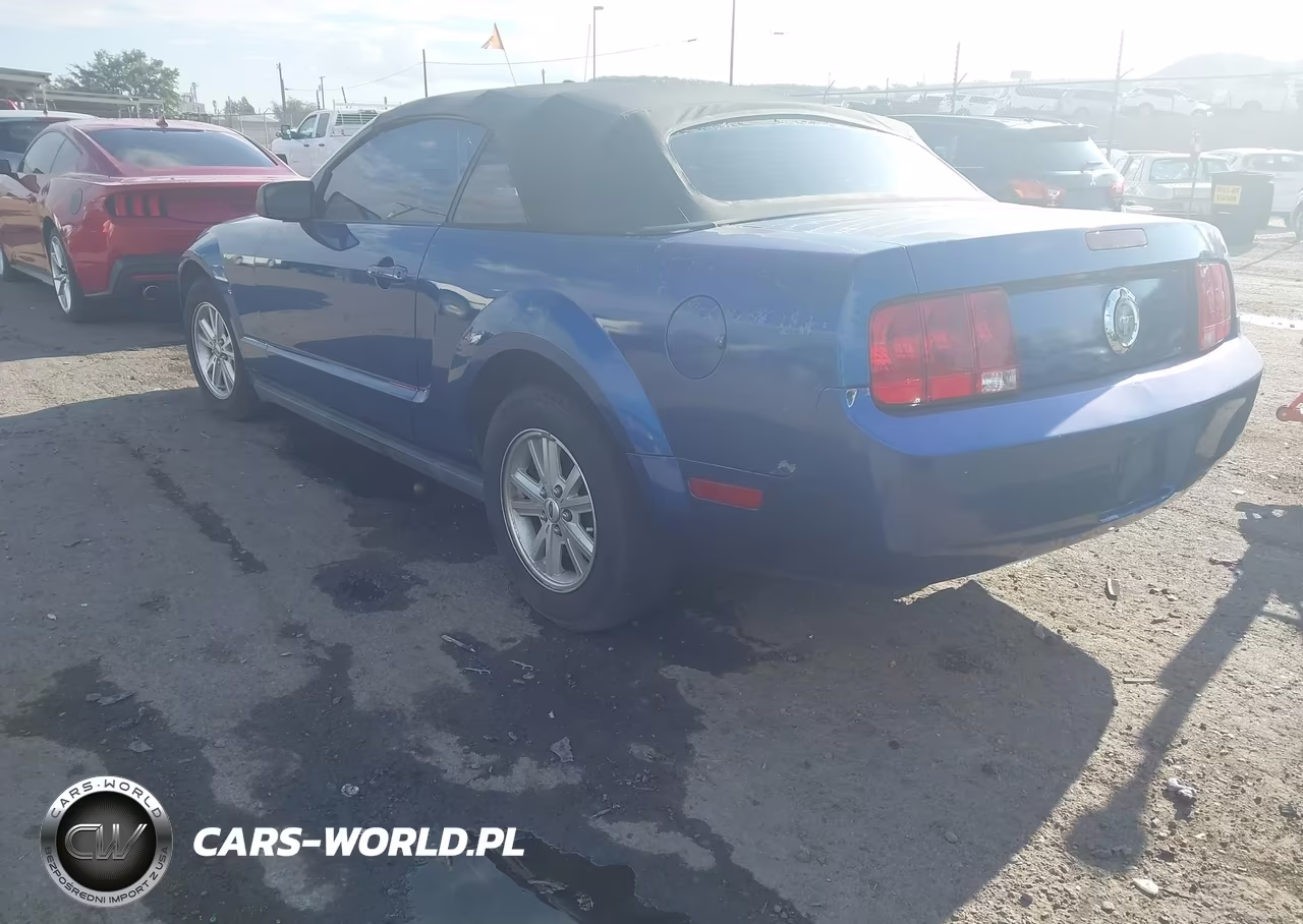 2006 Ford Mustang V6 VIN:1ZVFT84N165249017 - 3