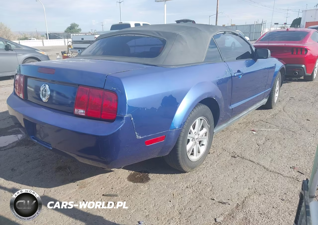2006 Ford Mustang V6 VIN:1ZVFT84N165249017 - 4