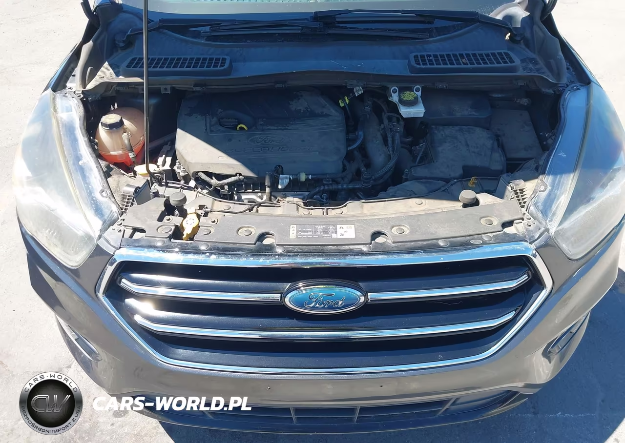 2017 Ford Escape Se VIN:1FMCU0GD6HUE48429 - 10