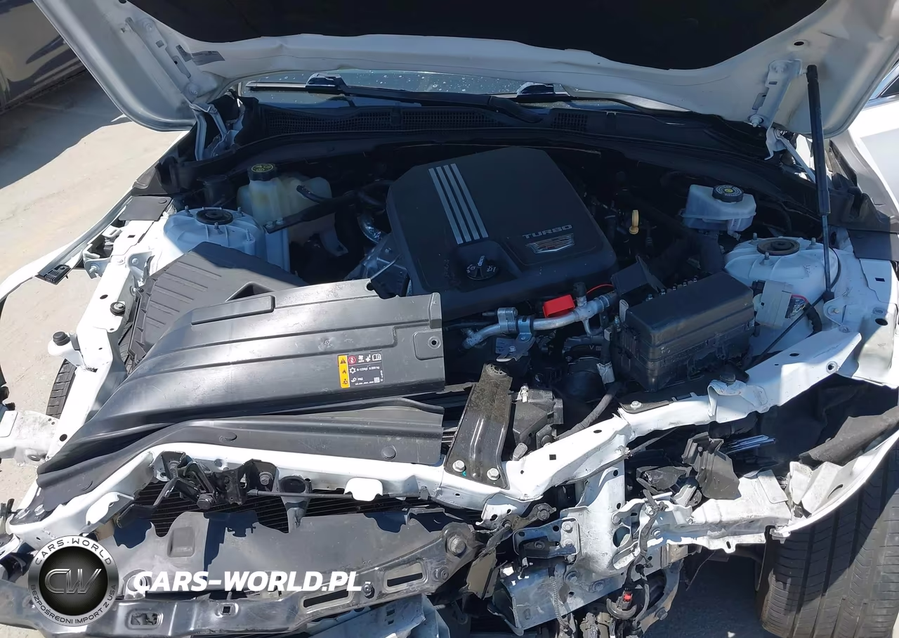2020 Cadillac Ct4 Luxury VIN:1G6DJ5RK1L0146978 - 10