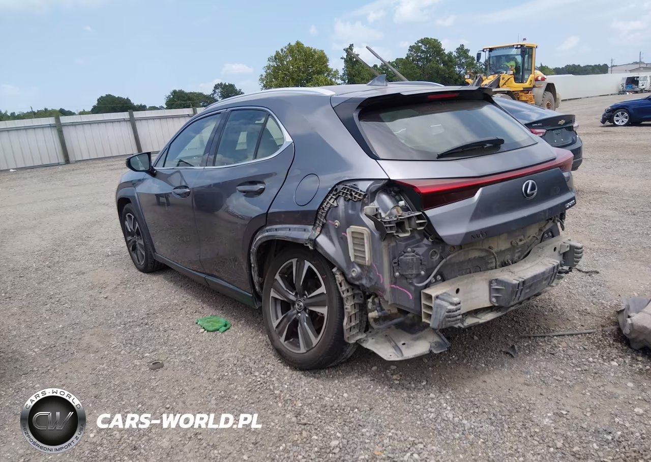 2019 Lexus Ux 200 VIN:JTHY3JBH6K2015207 - 3