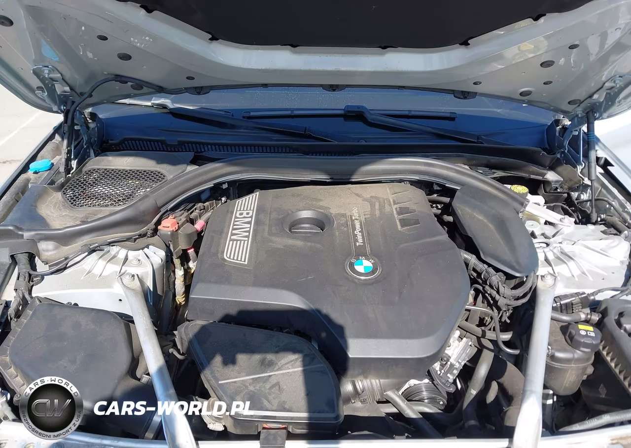 2019 BMW 530I VIN:WBAJA5C53KWW43610 - 10