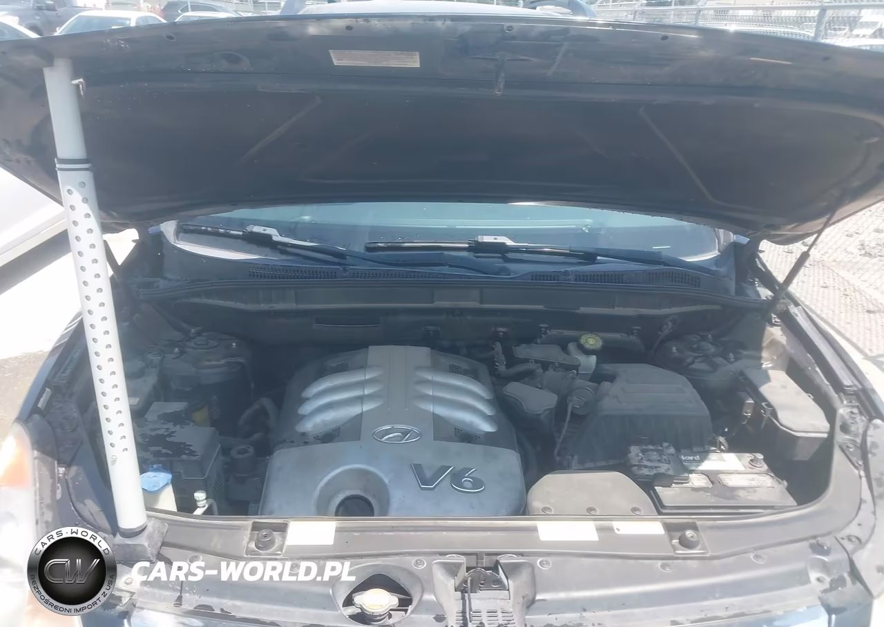 2007 Hyundai Veracruz VIN:KM8NU73C27U010729 - 10