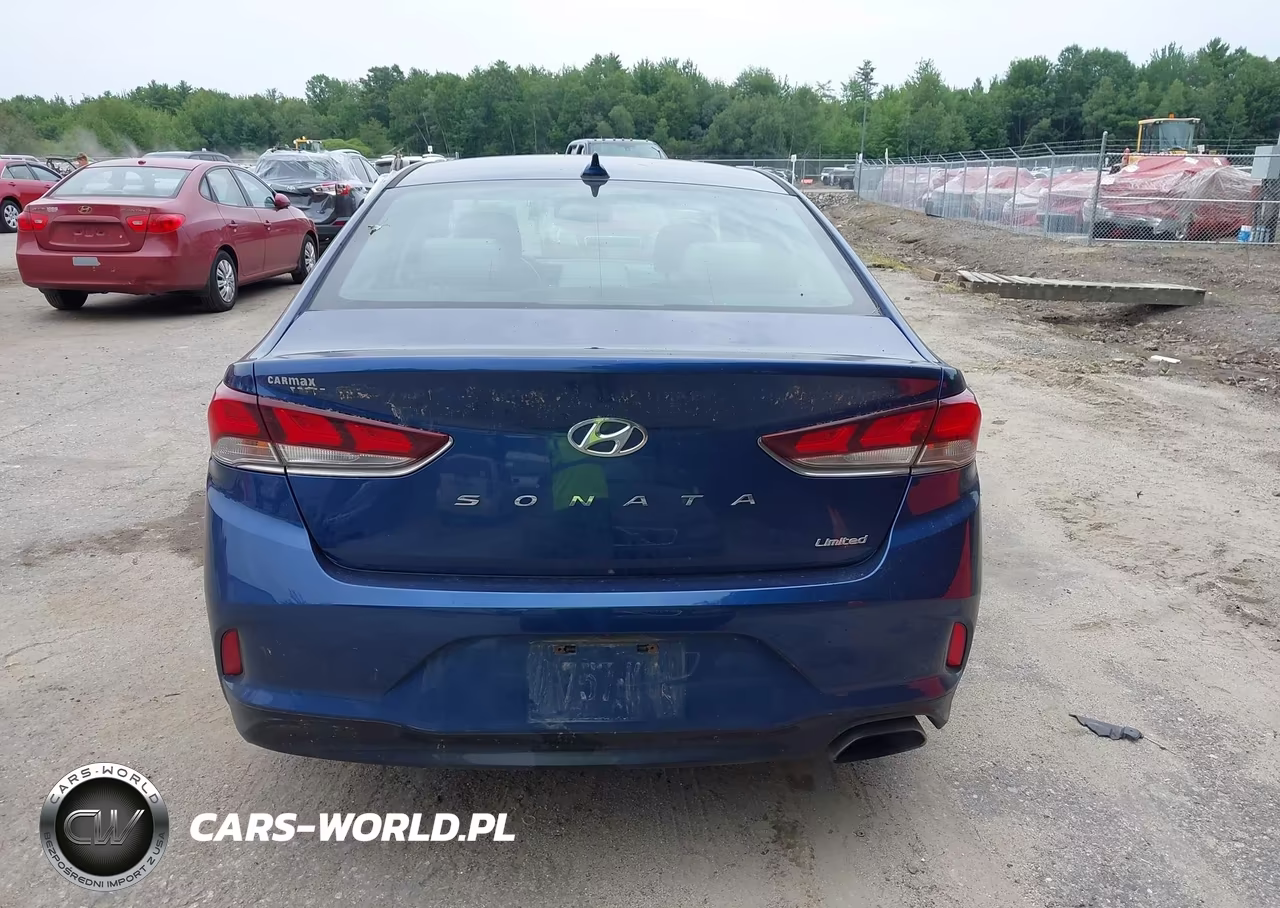 2018 Hyundai Sonata Limited VIN:5NPE34AFXJH641300 - 16
