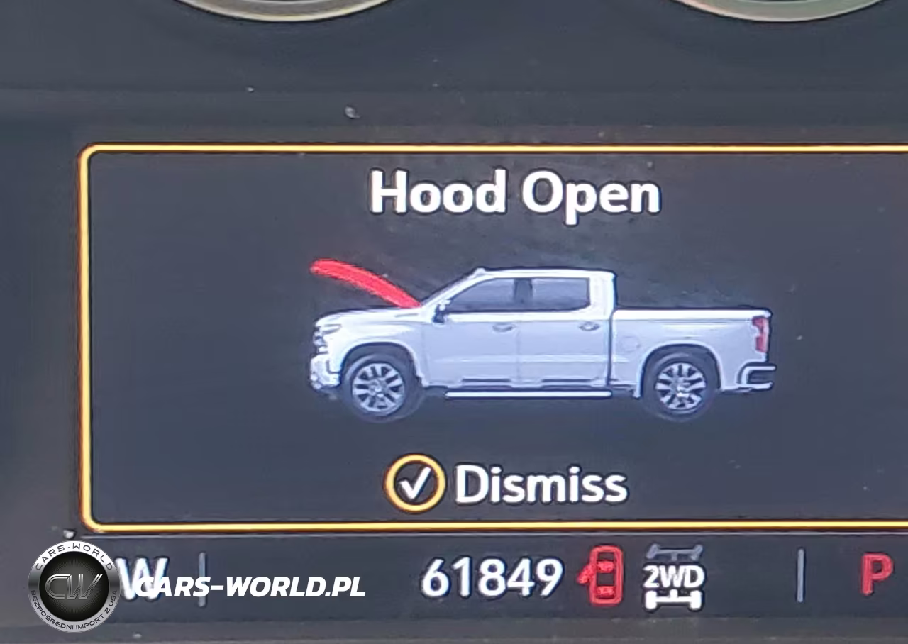 2021 Chevrolet Silverado 1500 4Wd Short Bed Lt Trail Boss VIN:1GCPYFED8MZ195319 - 16