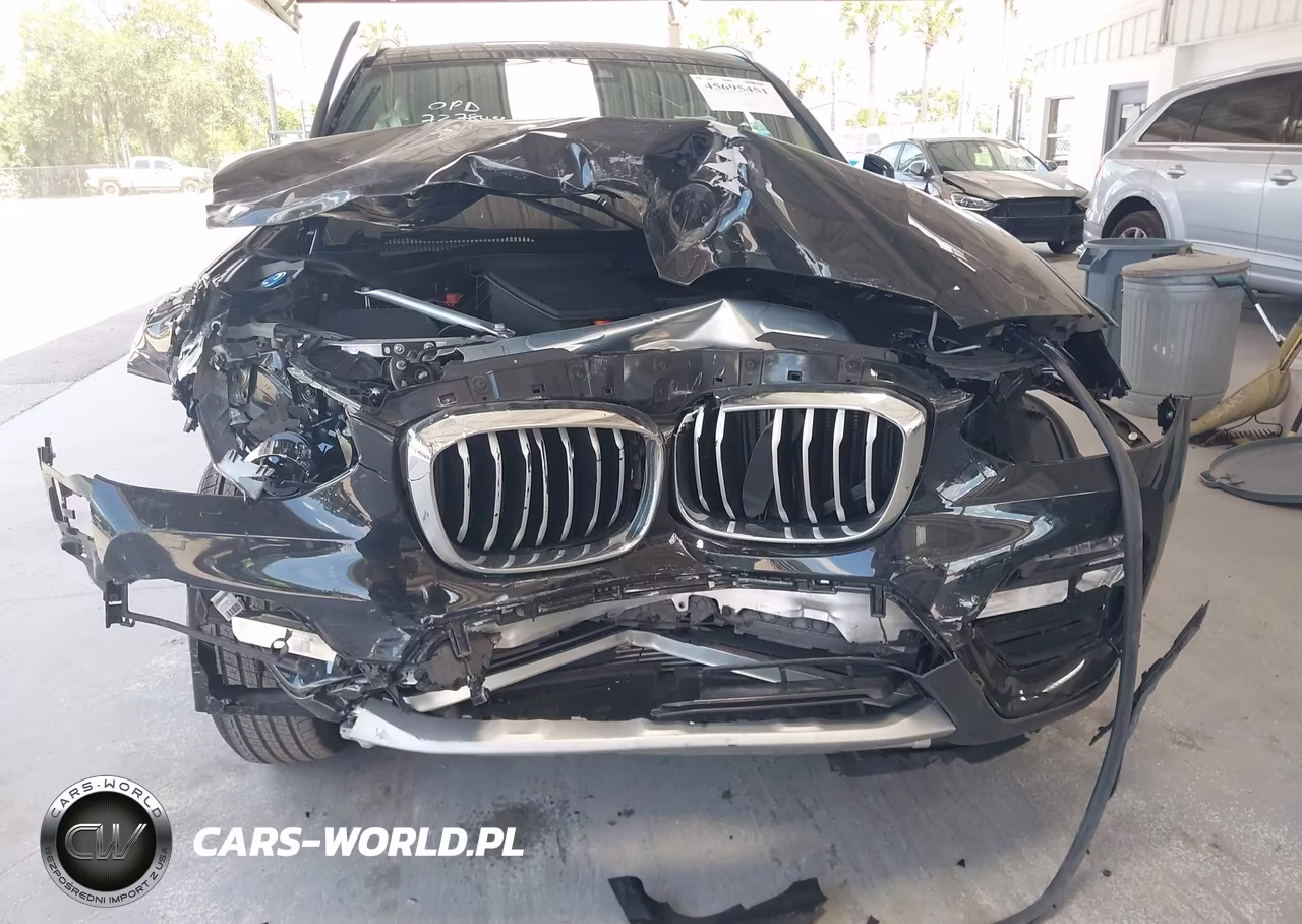 2021 BMW X3 Sdrive30I VIN:5UXTY3C02M9H99043 - 6