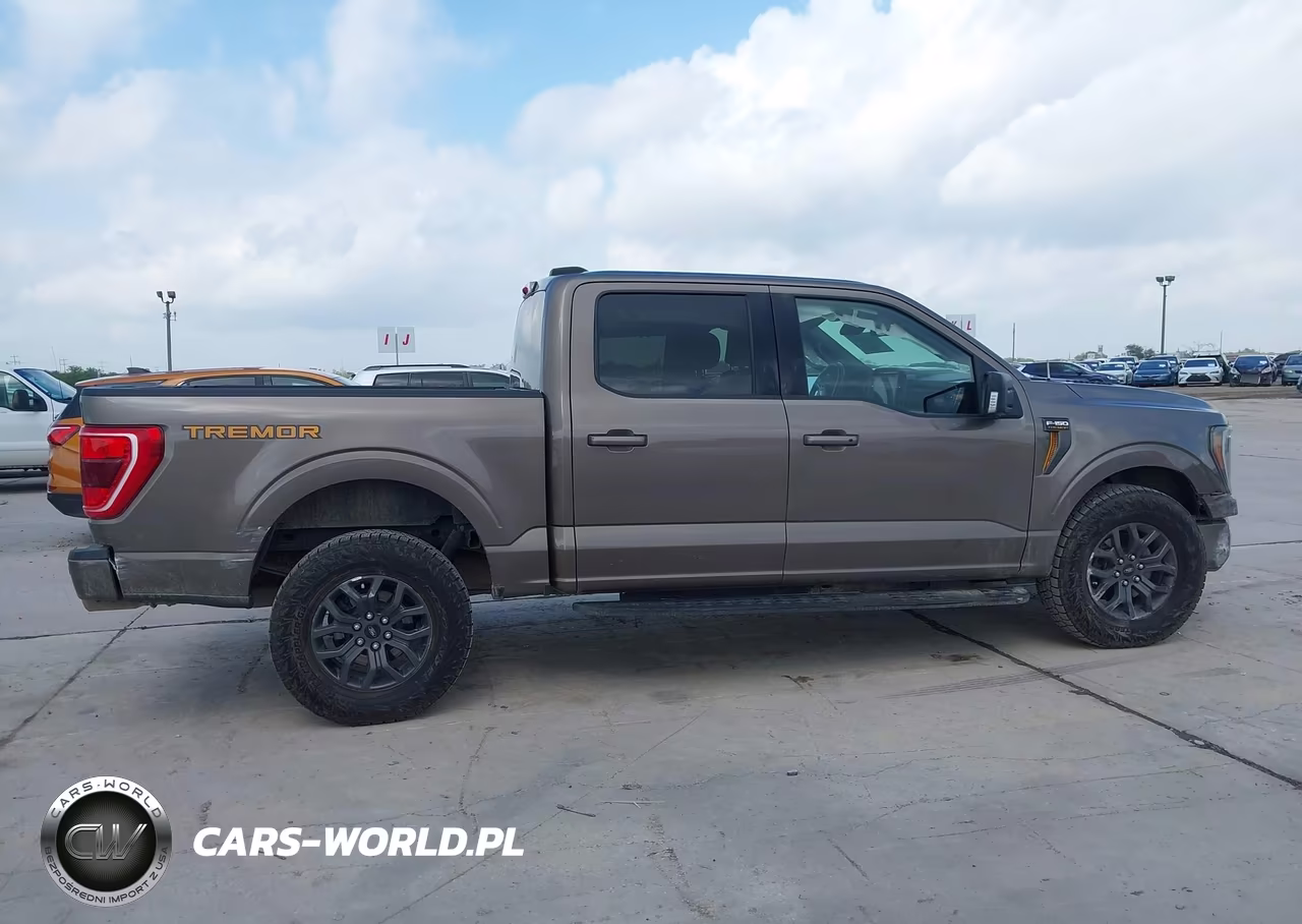 2022 Ford F-150 Tremor VIN:1FTEW1E86NFC09191 - 13