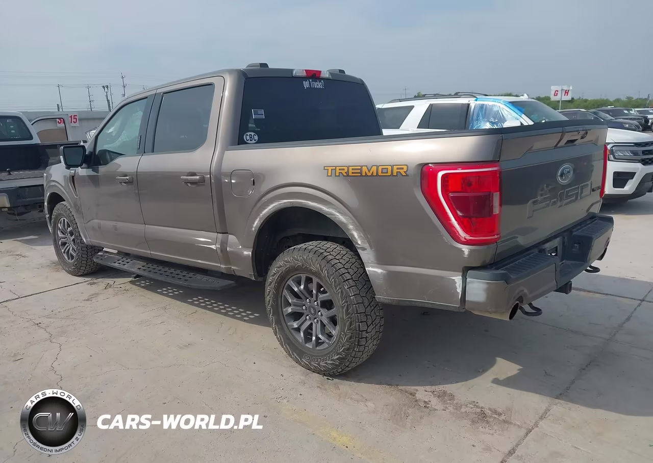 2022 Ford F-150 Tremor VIN:1FTEW1E86NFC09191 - 3
