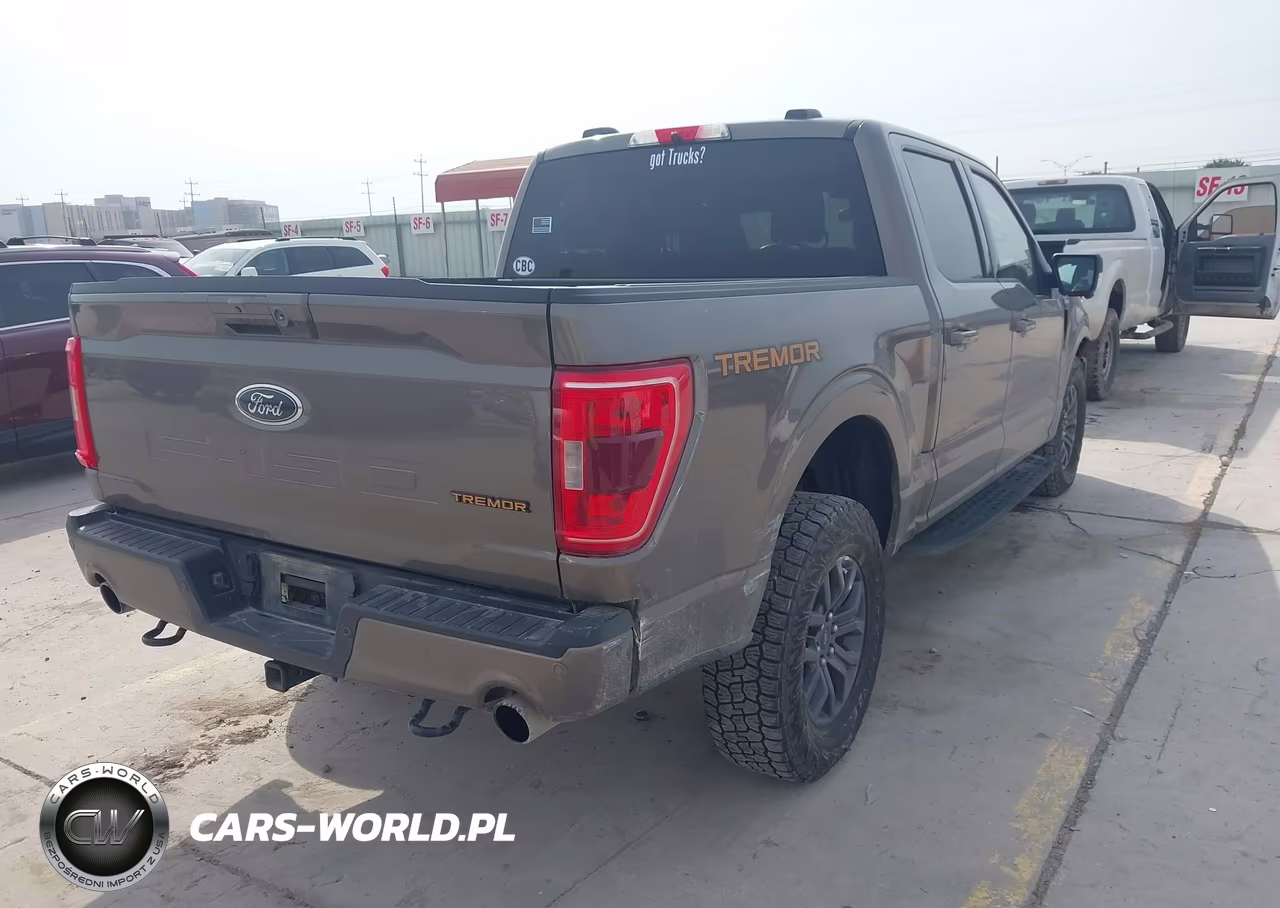 2022 Ford F-150 Tremor VIN:1FTEW1E86NFC09191 - 4