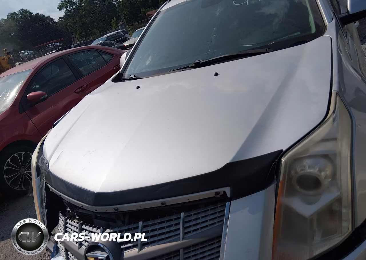 2011 Cadillac Srx Standard VIN:3GYFNGEY0BS521230 - 10