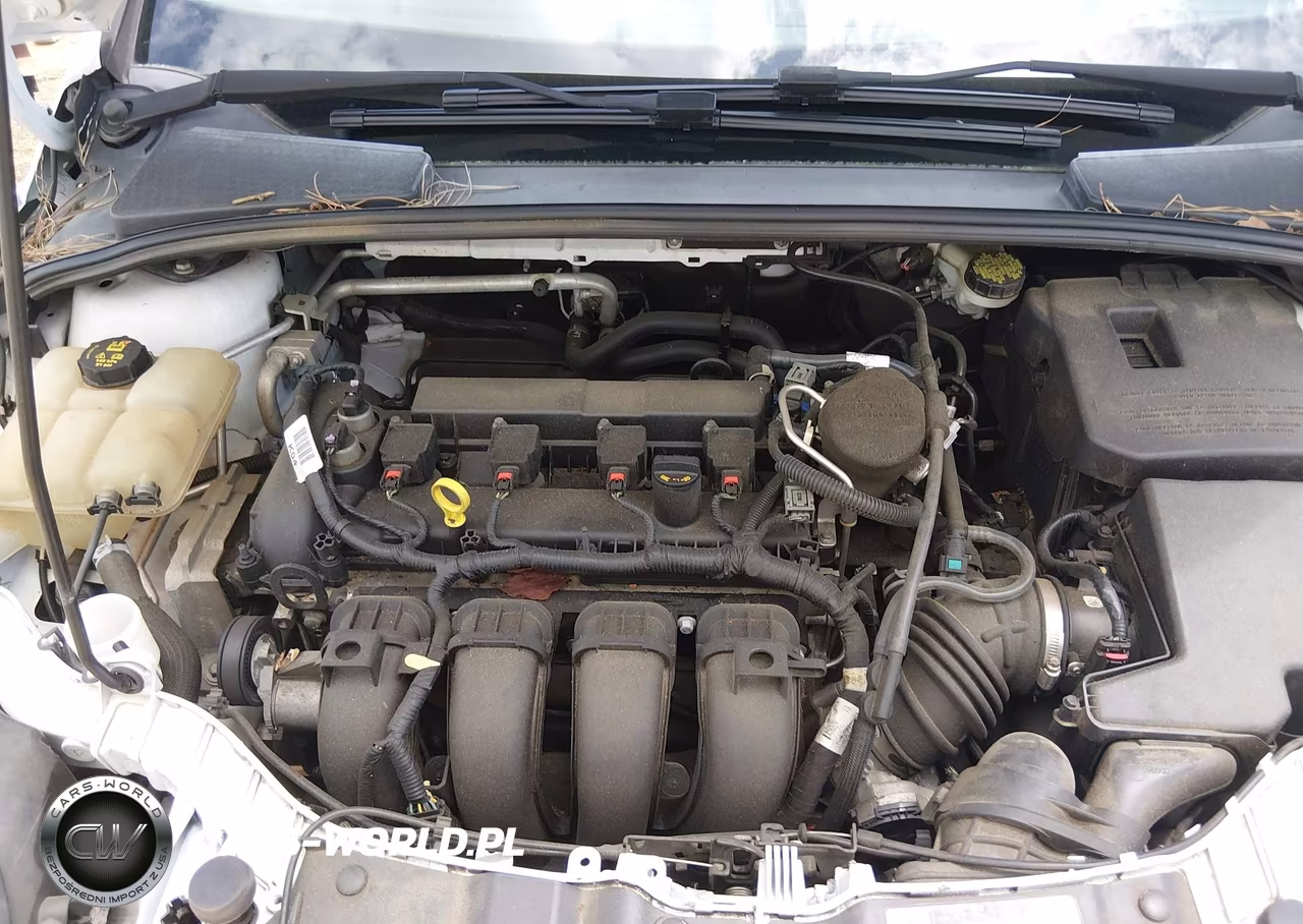 2014 Ford Focus Se VIN:1FADP3F28EL445590 - 10