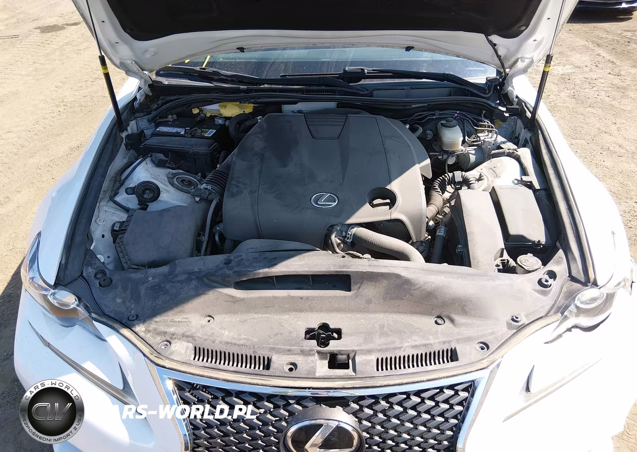 LEXUS IS 250 VIN:JTHBF1D26F5076633 - 10