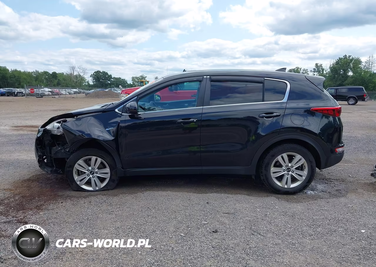 2019 Kia Sportage Lx VIN:KNDPMCAC9K7530958 - 15