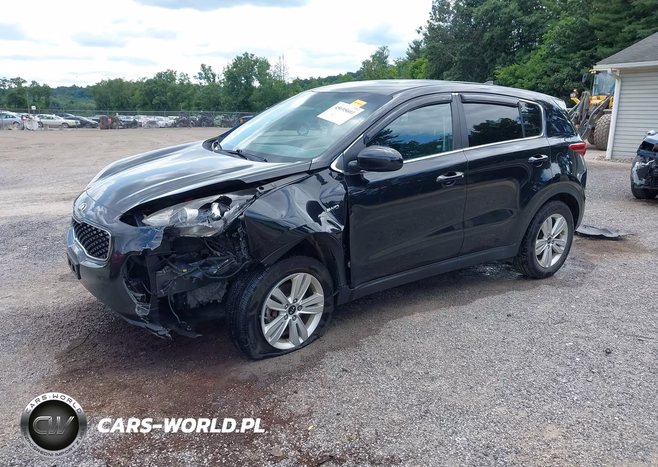 2019 Kia Sportage Lx VIN:KNDPMCAC9K7530958 - 2