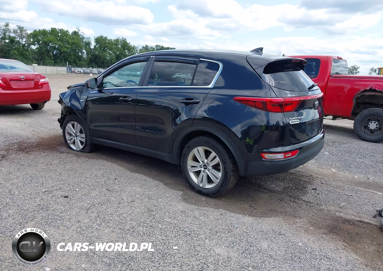 2019 Kia Sportage Lx VIN:KNDPMCAC9K7530958 - 3