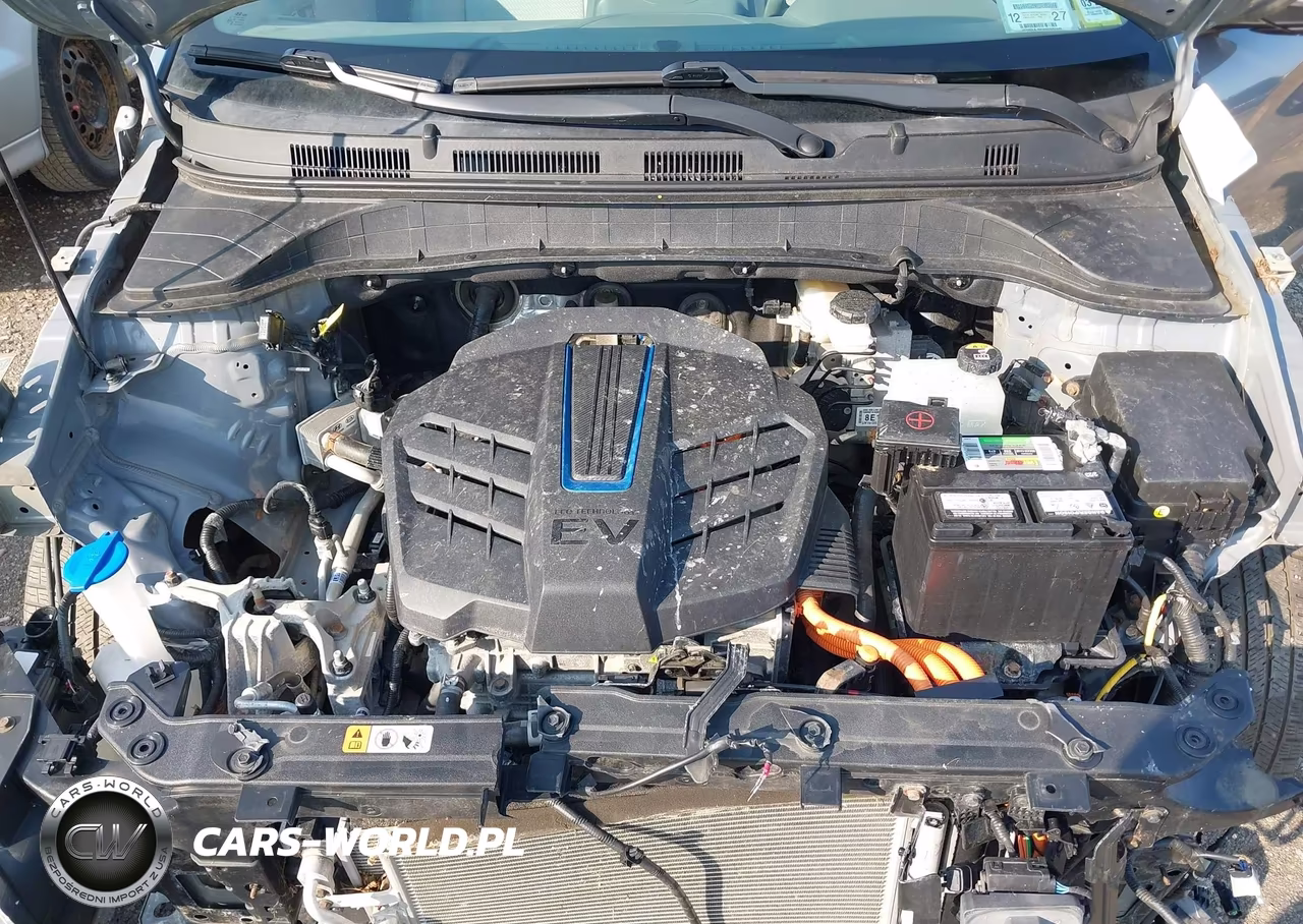 2019 Hyundai Kona Ev Limited VIN:KM8K33AG5KU035945 - 10