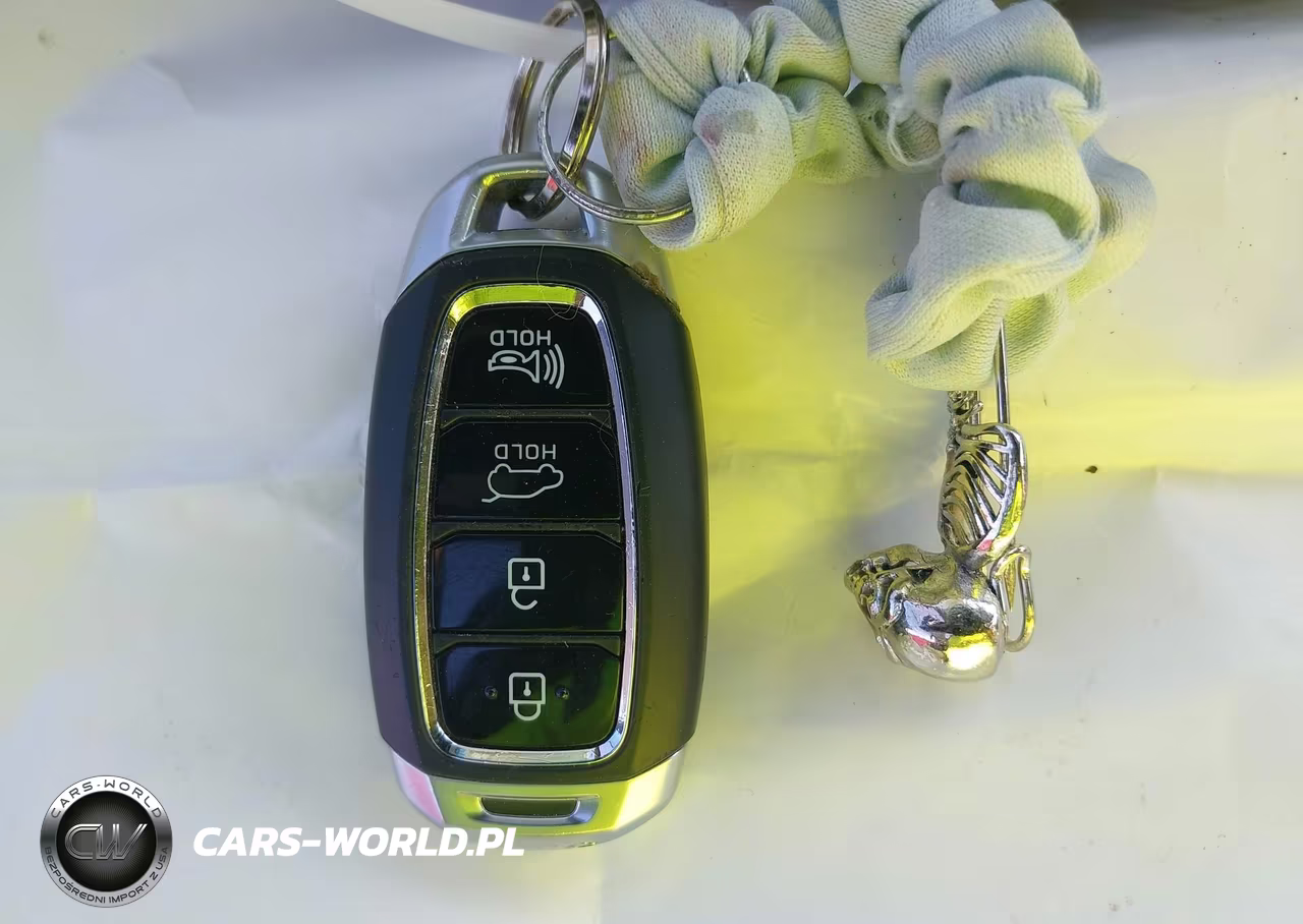 2019 Hyundai Kona Ev Limited VIN:KM8K33AG5KU035945 - 11