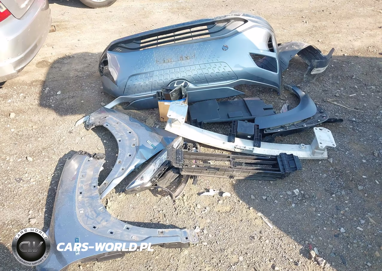 2019 Hyundai Kona Ev Limited VIN:KM8K33AG5KU035945 - 12