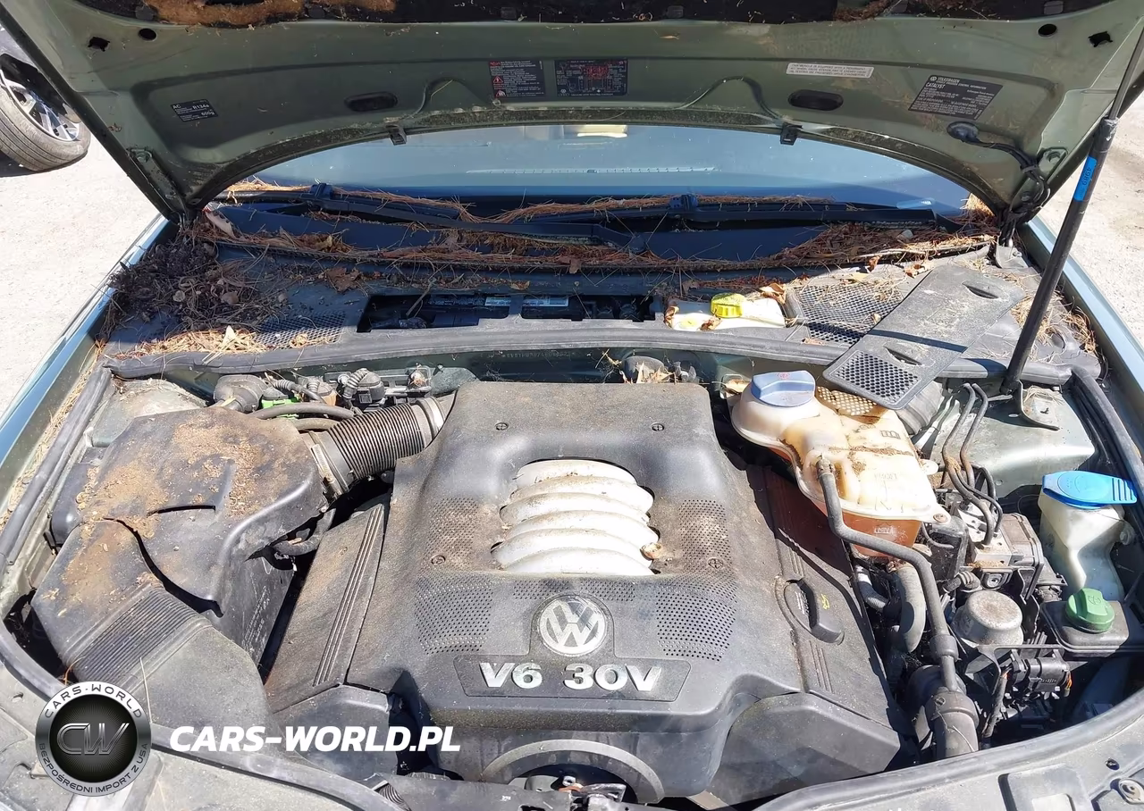 2004 Volkswagen Passat Glx VIN:WVWYH63B74E066629 - 10