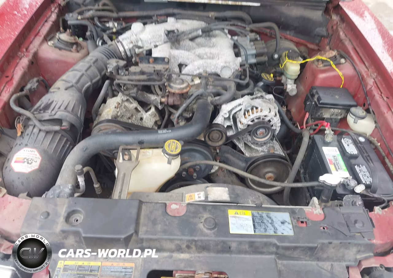 2002 Ford Mustang Deluxe-Premium-Standard VIN:1FAFP40402F161650 - 10