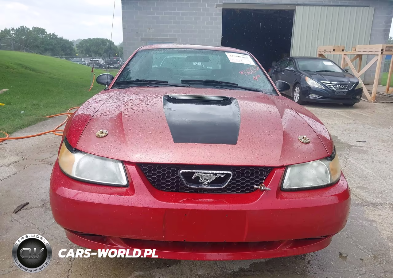2002 Ford Mustang Deluxe-Premium-Standard VIN:1FAFP40402F161650 - 6