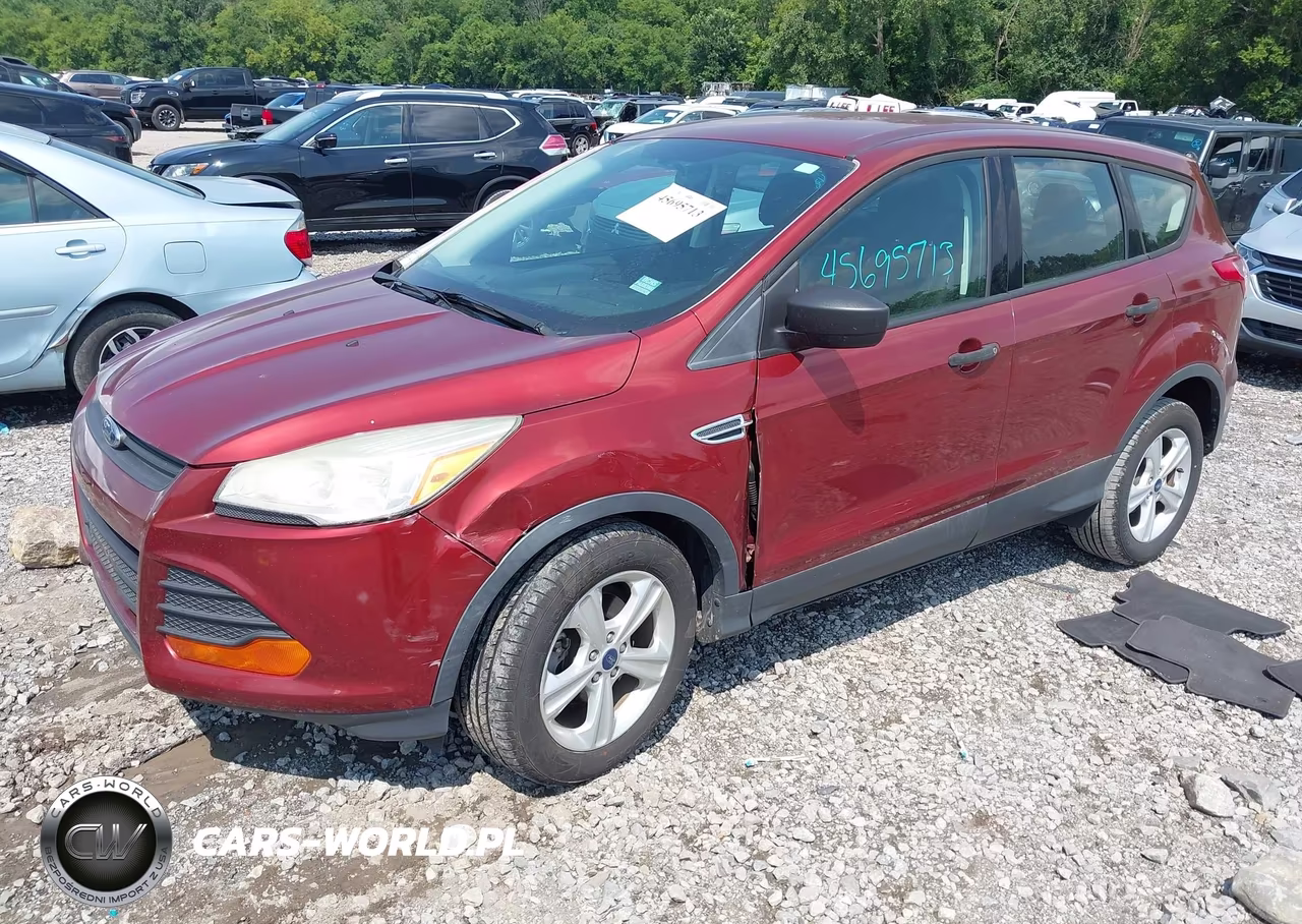 2015 Ford Escape S VIN:1FMCU0F77FUA73823 - 2