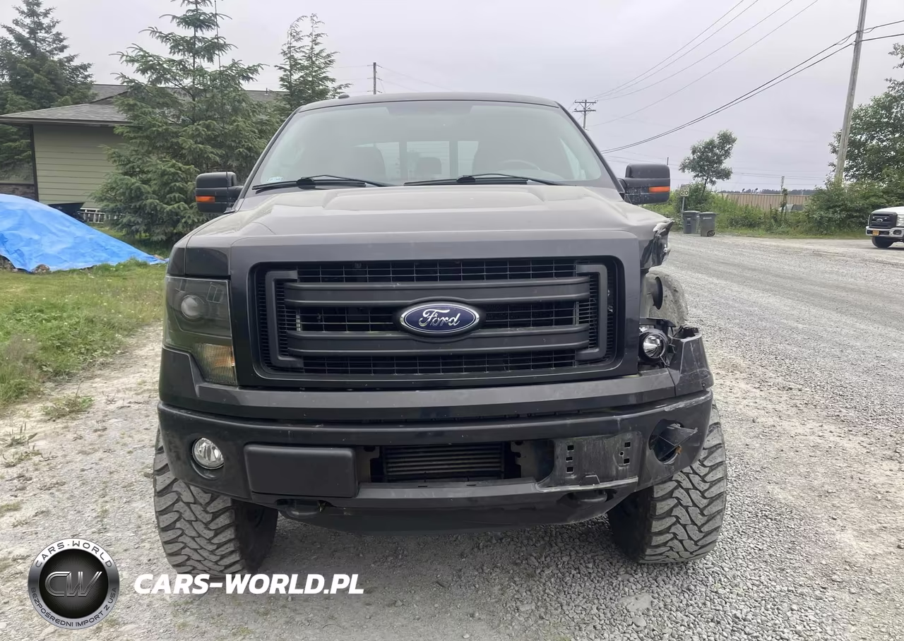 2013 Ford F-150 Fx4 VIN:1FTFW1ETXDKD82985 - 13