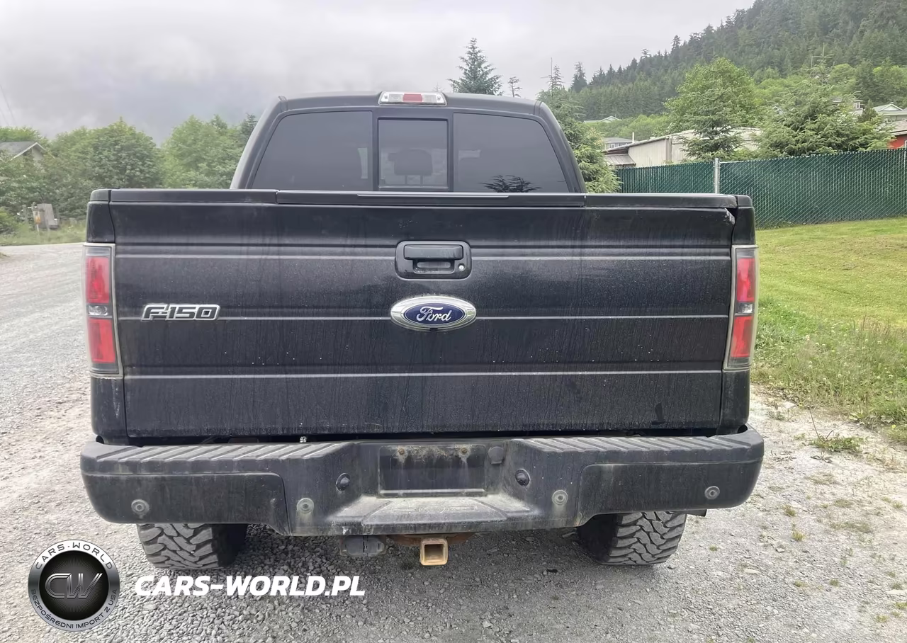 2013 Ford F-150 Fx4 VIN:1FTFW1ETXDKD82985 - 15
