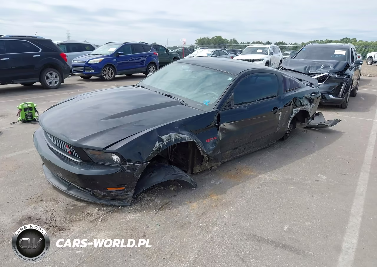 2011 Ford Mustang Gt VIN:1ZVBP8CF0B5132908 - 2