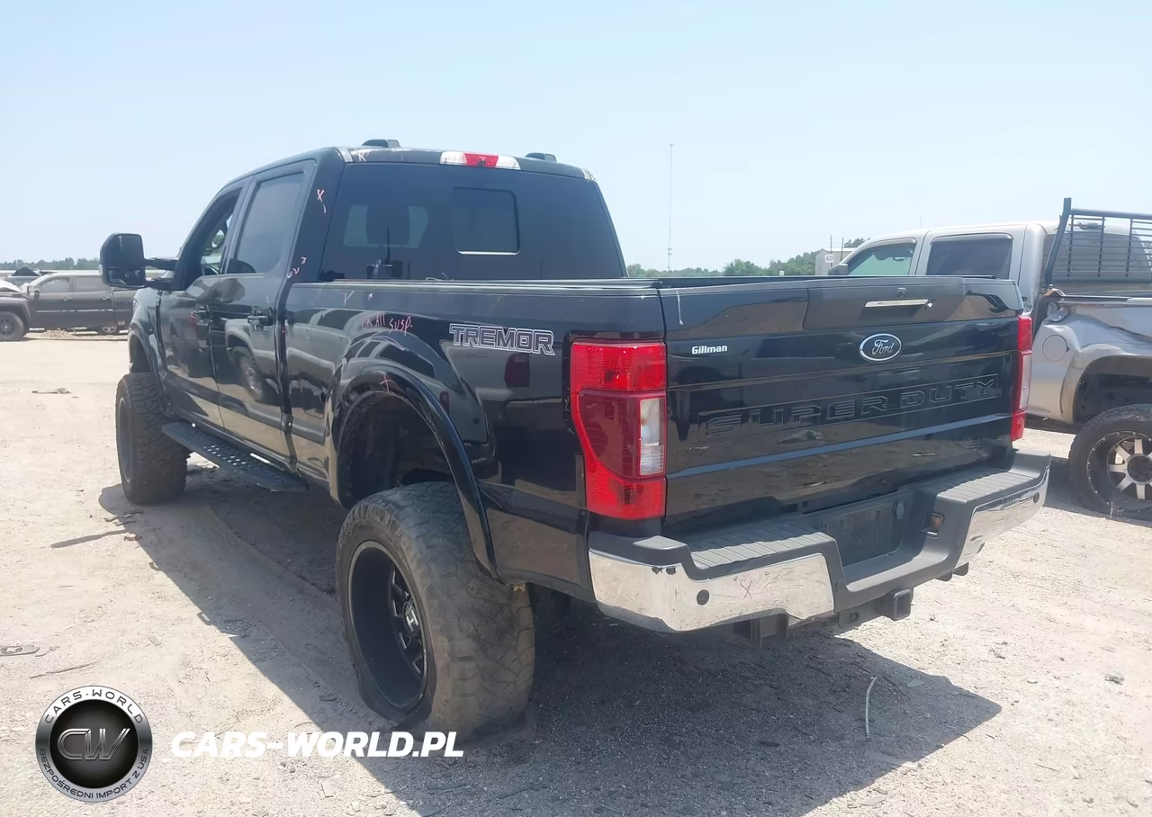 2020 Ford F-250 King Ranch-Lariat-Platinum-Xl-Xlt VIN:1FT7W2BN1LEE62303 - 3