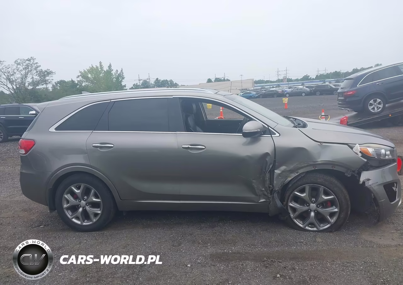2017 Kia Sorento 3.3L Sx VIN:5XYPKDA55HG305056 - 13