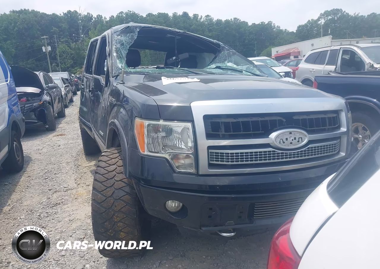 2011 Ford F-150 Platinum – zdjęcie 1 z 15