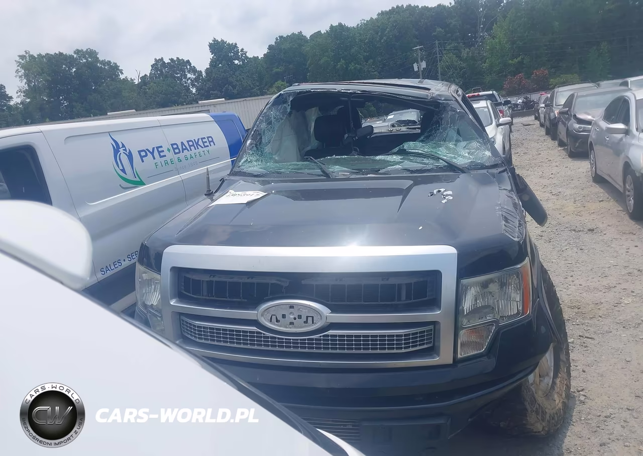 2011 Ford F-150 Platinum VIN:1FTFW1ET7BFB78814 - 11