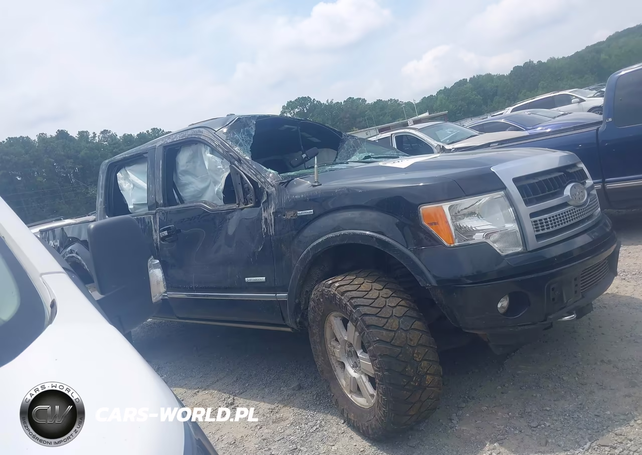 2011 Ford F-150 Platinum VIN:1FTFW1ET7BFB78814 - 12