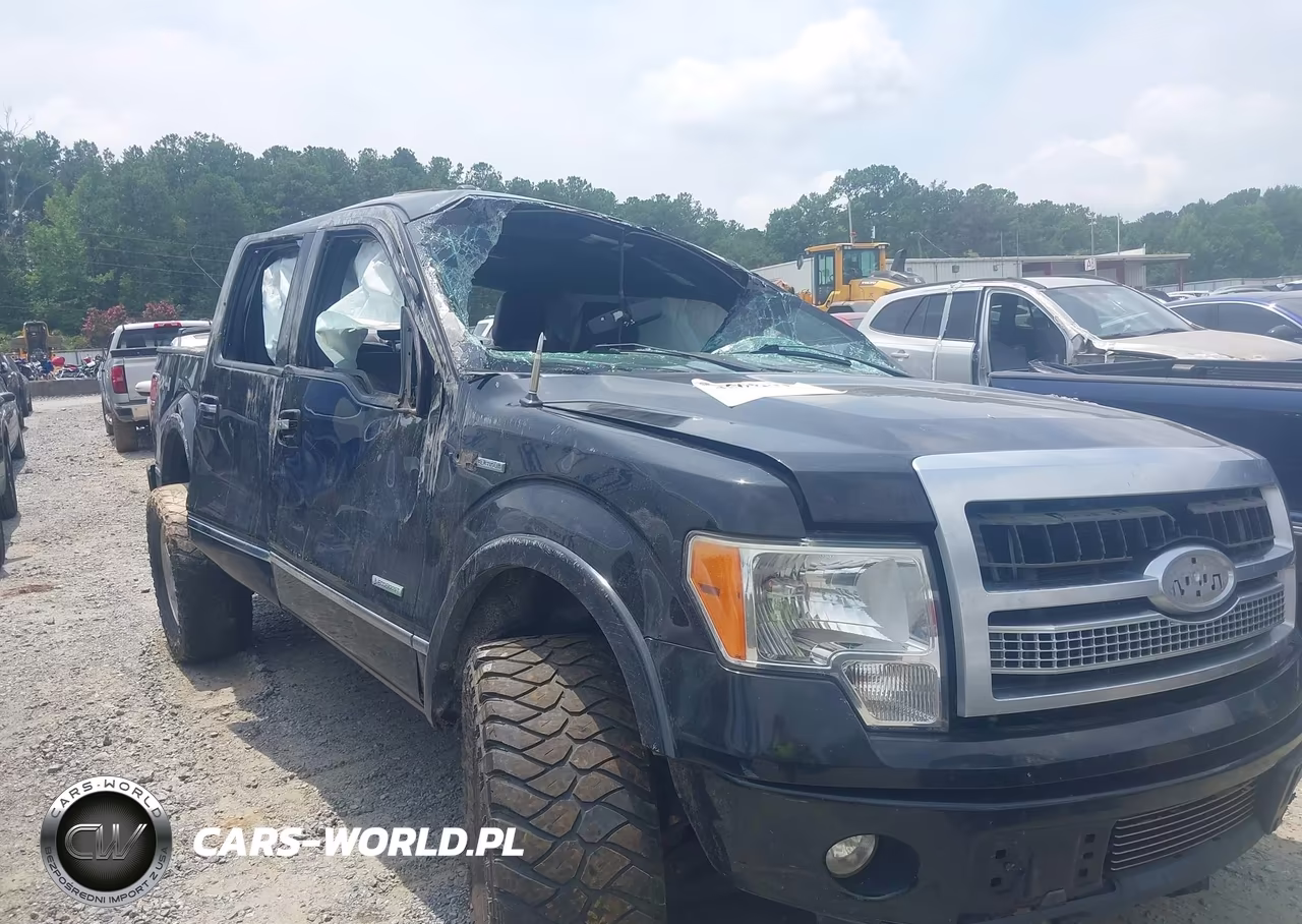 2011 Ford F-150 Platinum VIN:1FTFW1ET7BFB78814 - 6
