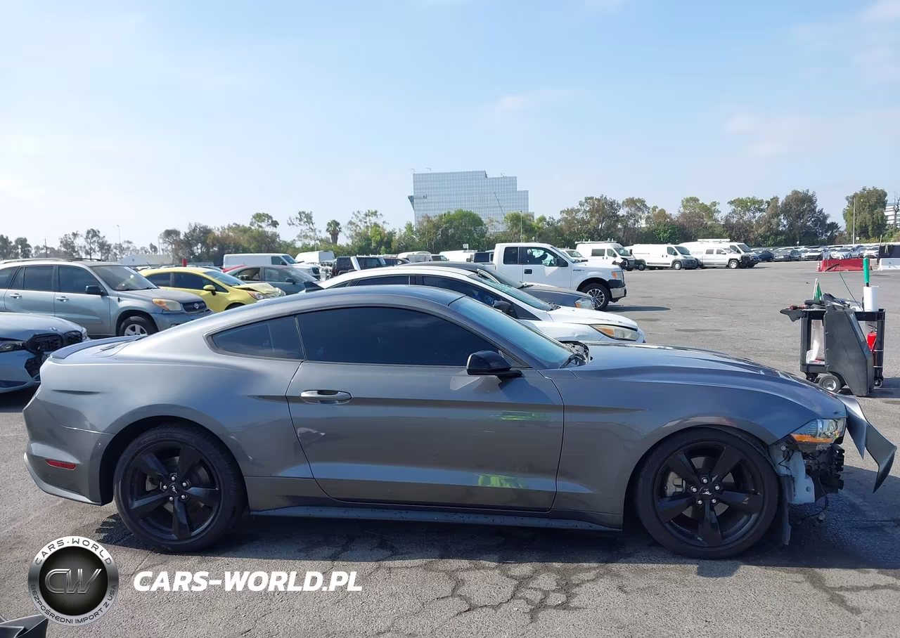 2021 Ford Mustang Ecoboost Fastback VIN:1FA6P8TH7M5109978 - 14